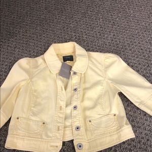 Yellow jacket